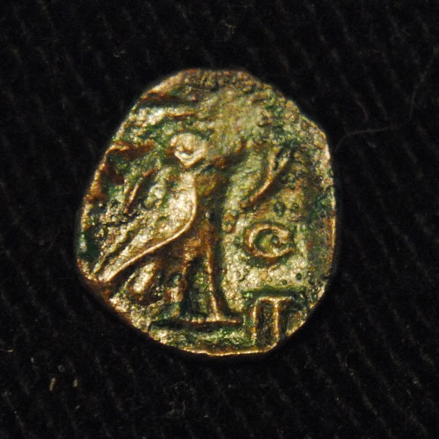 �-Athens-.-A-Teensy-Weensy-Little-Owl